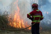 70-year-old woman arrested for fire that endangered several homes. She had already been arrested for the same crime