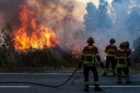 Fire with two active fronts in Vila Verde requires the mobilisation of 110 personnel