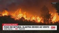Setúbal wildfire now has two active fronts and is approaching a large eucalyptus forest