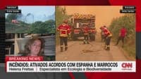 A permanent heartache. Portugal is losing its valuable natural heritage because it insists on this model of land organisation