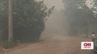 The moment the Fire Boss aircraft advance with a water drop to fight the fire in Tondela