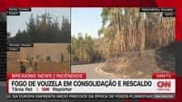 Fire in Serra do Caramulo: 90% of the blaze is in the mop-up phase, but over 700 personnel remain on the ground