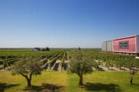 76,000 euro "embezzlement". Casa Ermelinda Freitas convicted for "simulating" expenses to obtain European funds