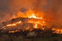 There is a new solution helping Spain against wildfires. They are donkeys