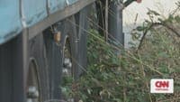 Former deputy director of the Judiciary Police learned about the trailer from the television