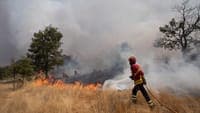 Elderly man named as formal suspect for allegedly starting a fire in Carrazeda de Ansiães