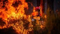 "What we are seeing is not just bad luck": climate change makes major wildfires 20 times more likely in Spain