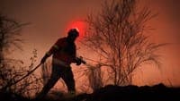 More than 800 personnel fight fire in Valpaços. Fire is now under control