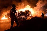 Young man arrested for causing forest fire with brushcutter in Celorico da Beira