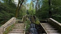 The first 'therapeutic forest' in the Iberian Peninsula is in Portugal