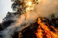 Suspect arrested for starting fire with a lighter in Famalicão
