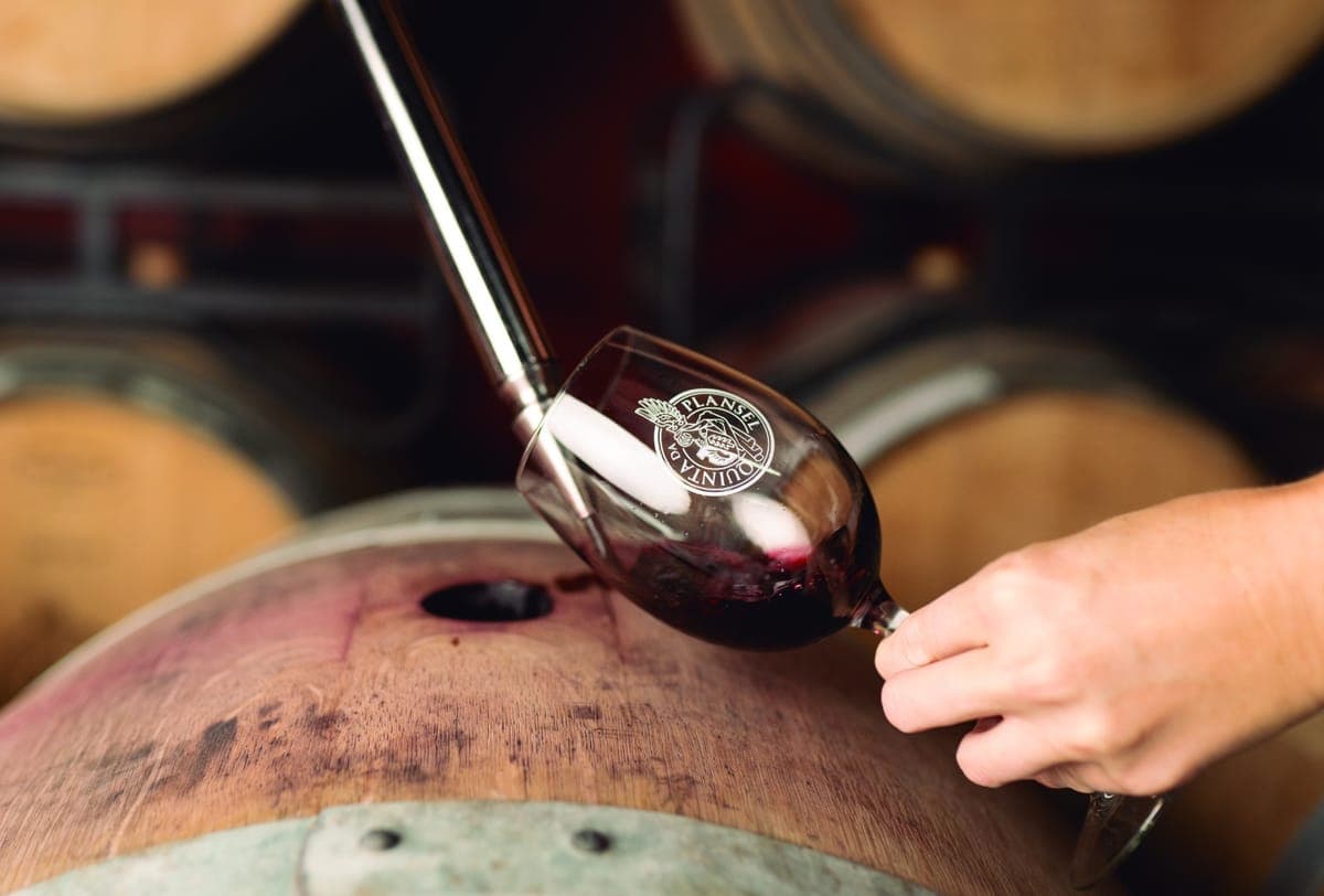 A shipwreck in Cascais brought an unexpected passion for Portugal and for Portuguese grape varieties. Welcome to Quinta da Plansel