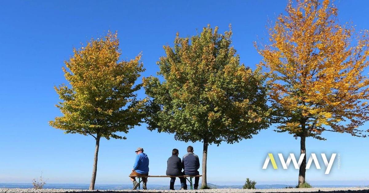 Temperatures above 25 degrees and no rain: 'Early St. Martin's Summer' to remain in Portugal over the coming days