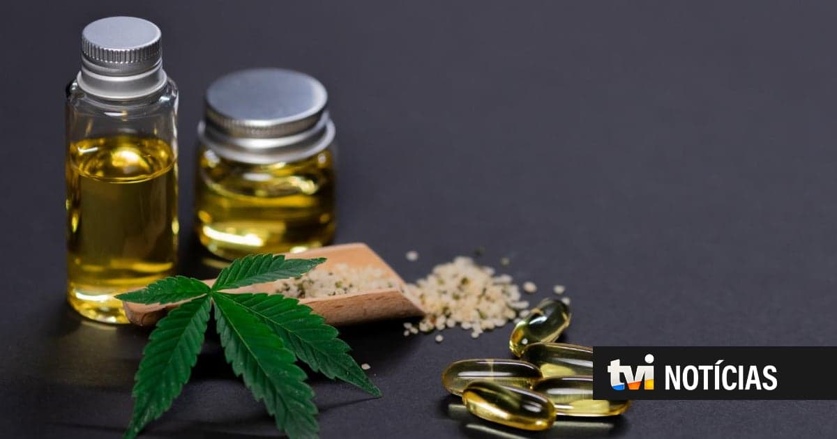 Portugal has already exported over 66 tonnes of medicinal cannabis this year
