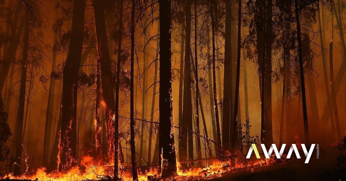 Maximum alert: dozens of municipalities are at extreme risk of fire