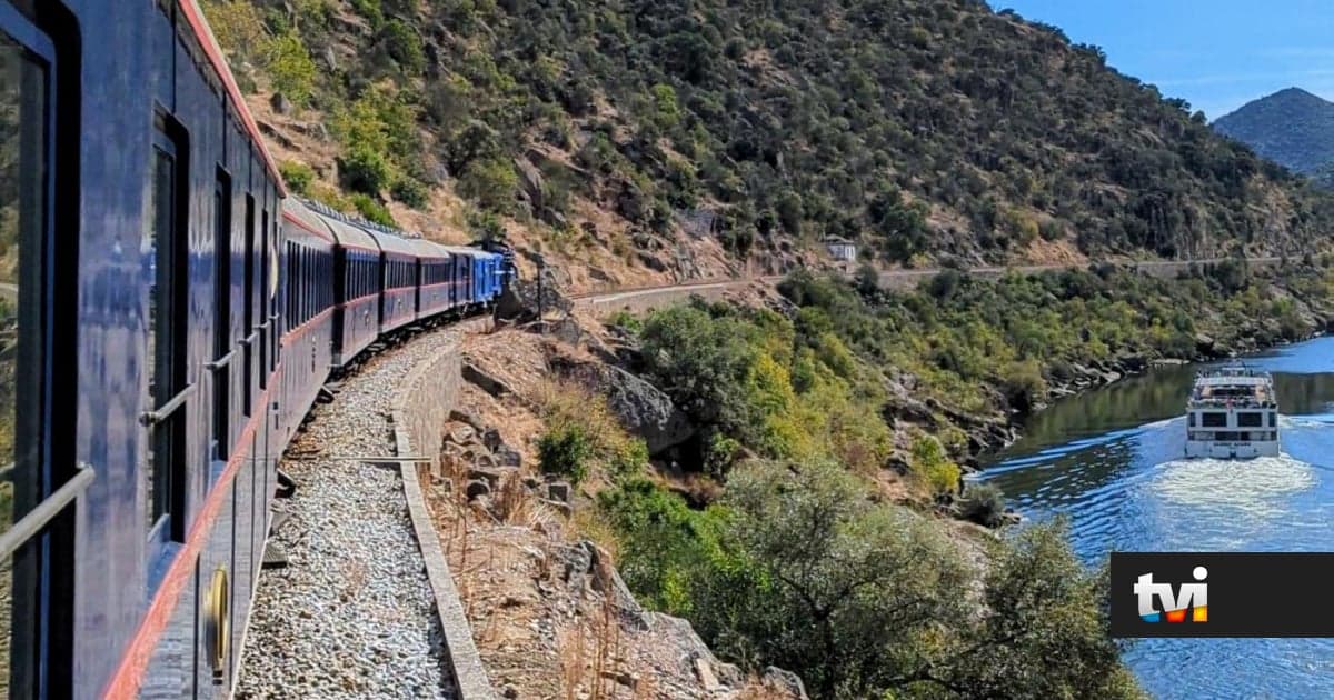 River, vineyards and breathtaking landscapes: International press names this train journey the most beautiful in Portugal