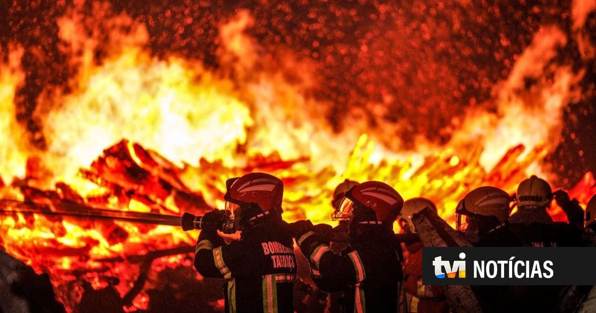 Why does Portugal burn every year? Forests in the hands of 400,000 owners who do not know what to do with them