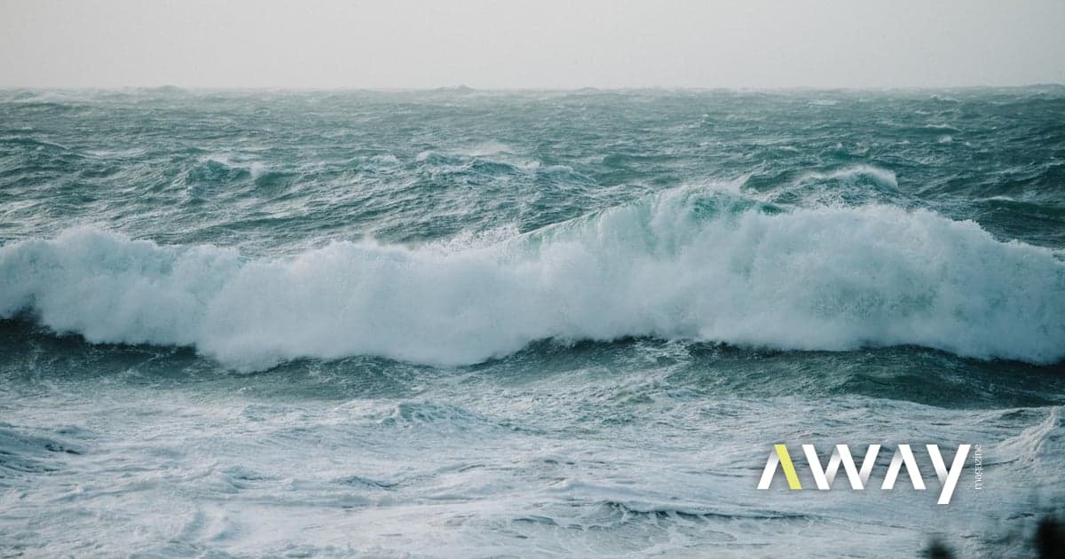 Proteins and nutrients are washing up on the coast in Portugal. The problem? The law prevents their use