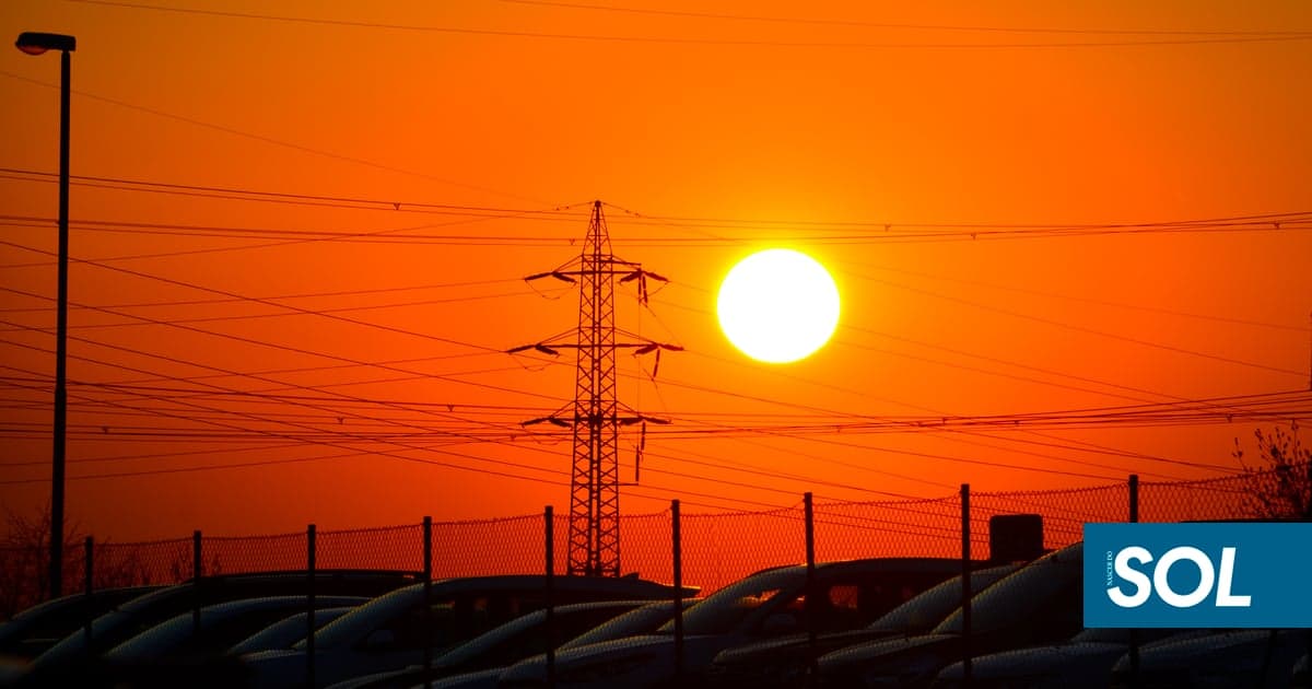 Heatwaves caused 123 excess deaths in Portugal