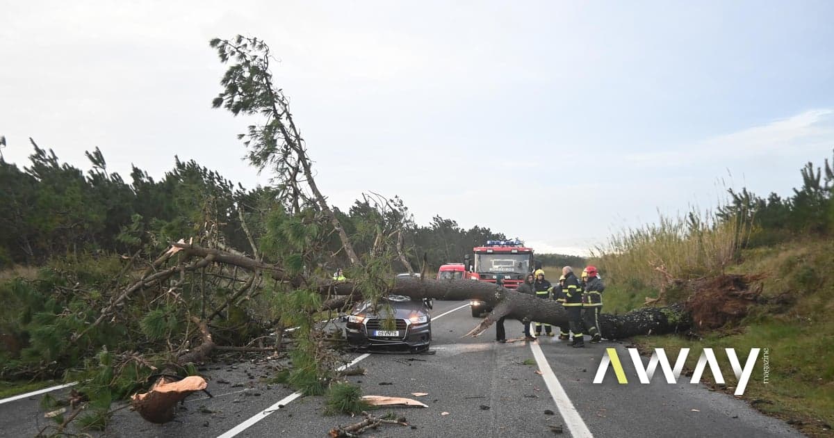 Pay attention to this list: there are 26 roads closed in Portugal - Away - IOL