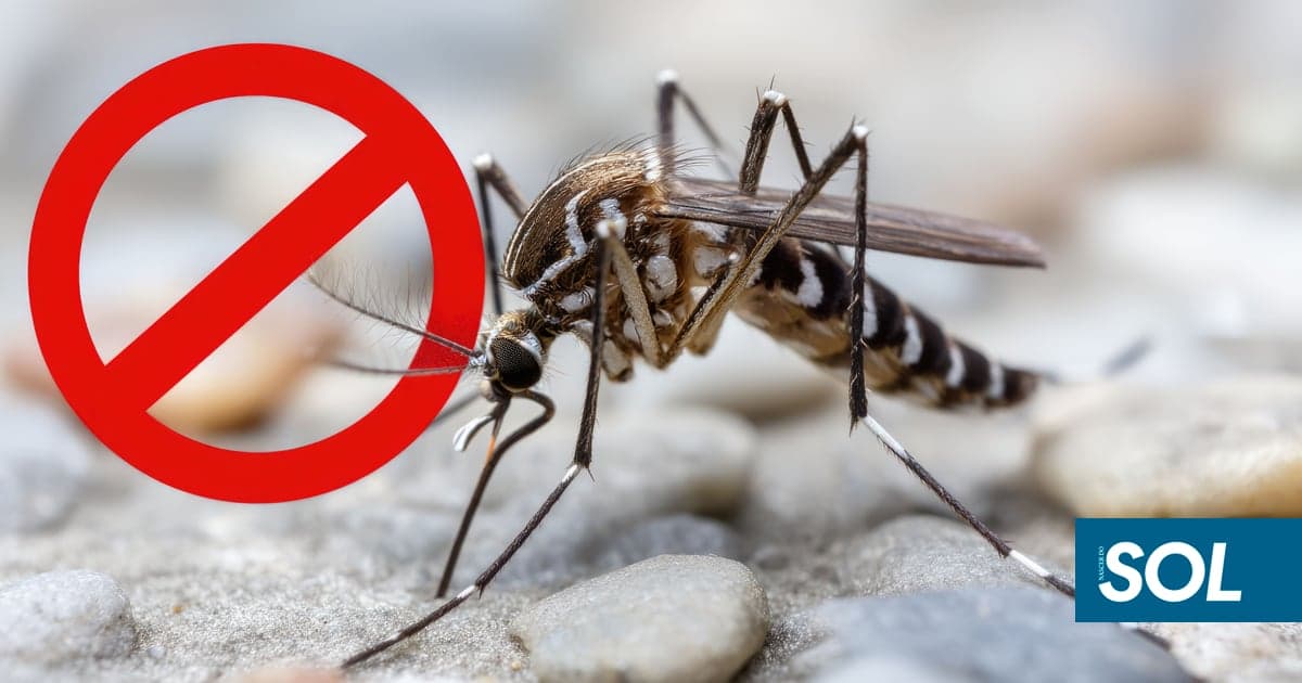 Portugal at the forefront of chikungunya risk in Europe, study reveals
