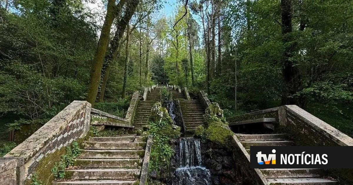 The first 'therapeutic forest' in the Iberian Peninsula is in Portugal