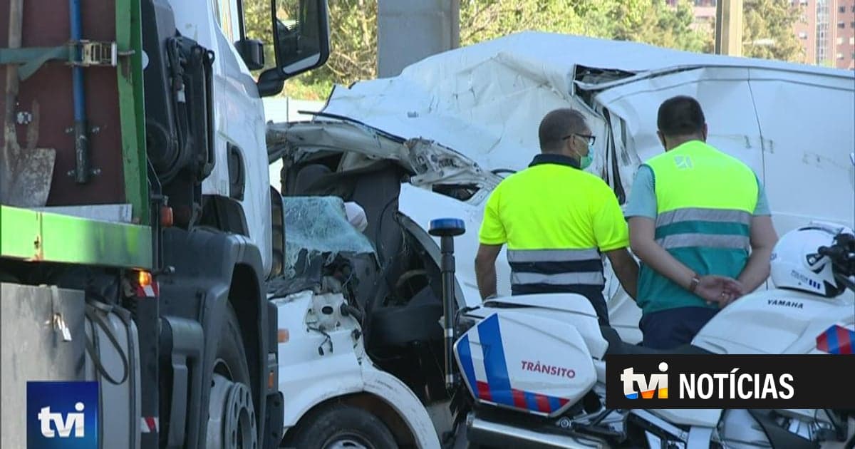 European Union reduced road deaths. Portugal remained almost the same