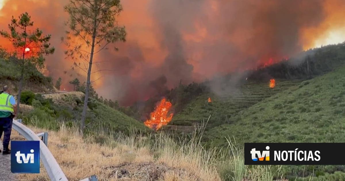 Portugal had more than 50,000 fires in just five years