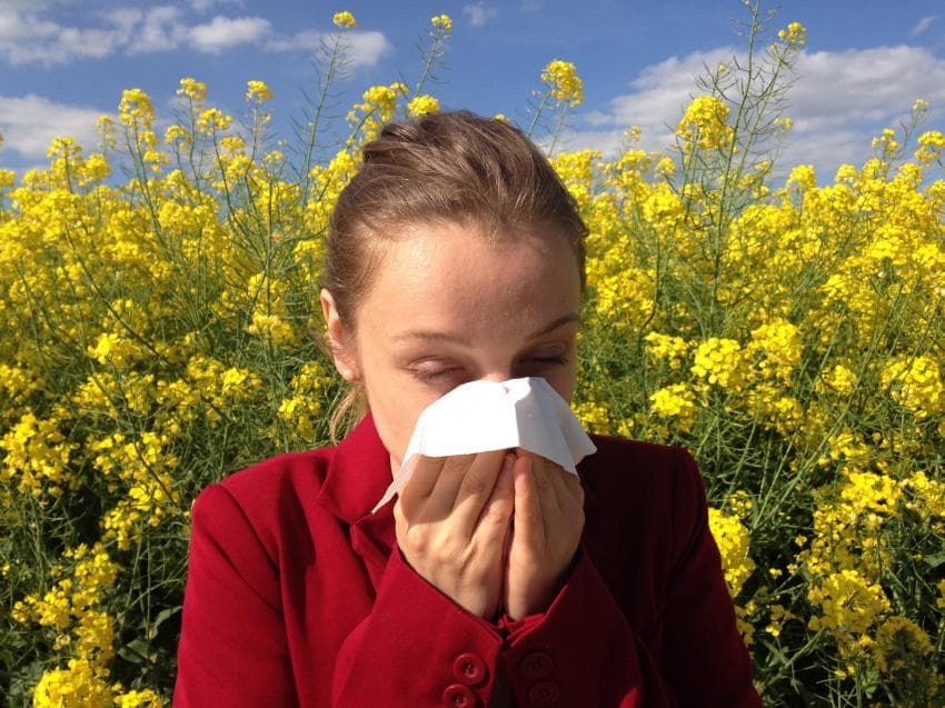 Allergies - Mainland Portugal with high pollen concentration