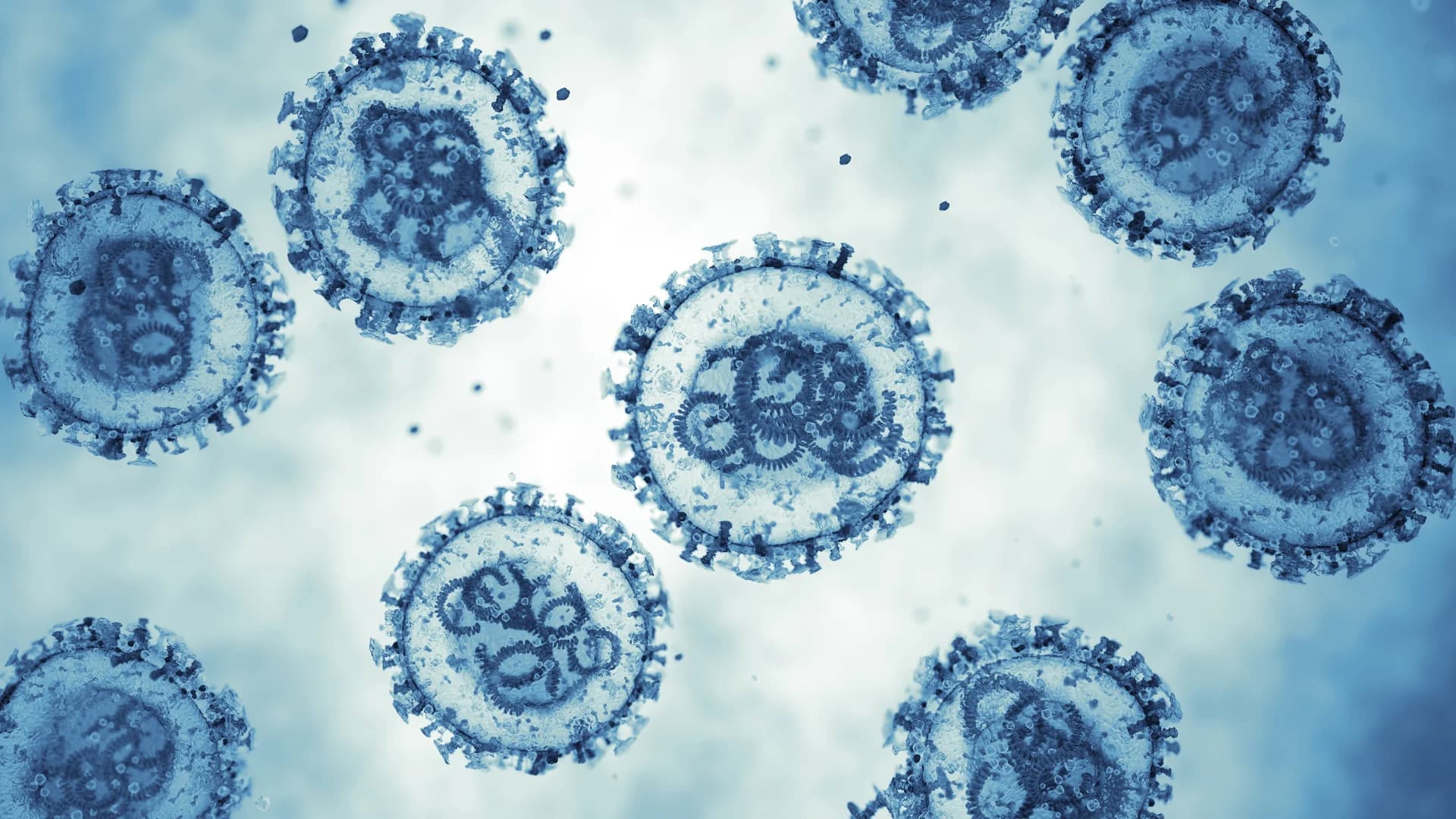 Suspected hantavirus case in Portugal triggers protocol, but test returns negative
