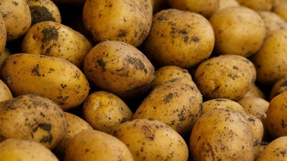 Potato consumption in Portugal rises to a six-year high and Miss Tata returns