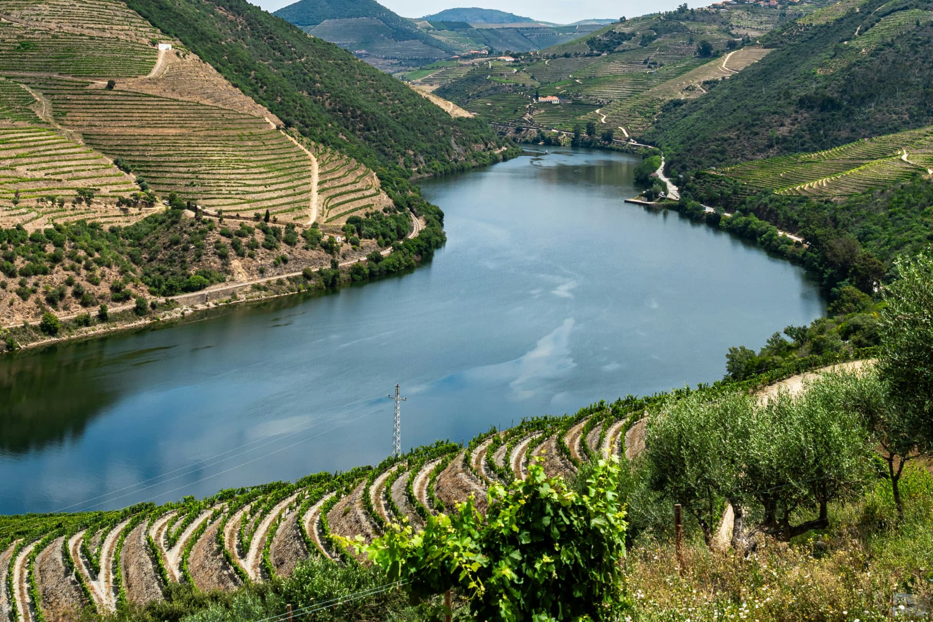 Douro Valley Terraces — Alto Douro, Norte