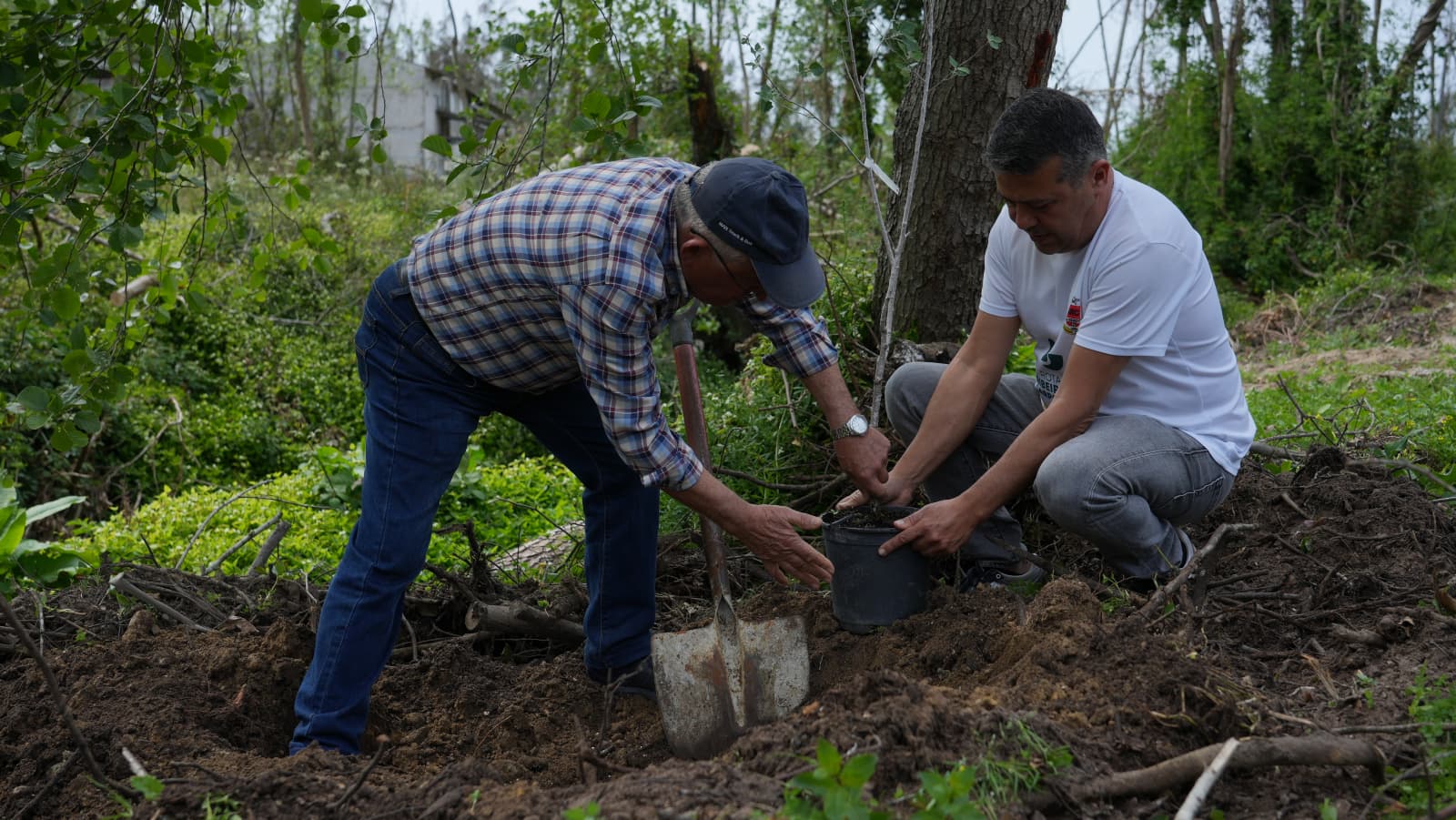 “Vamos Plantar Livros” initiative leads to the planting of over 7,000 new trees in Portugal