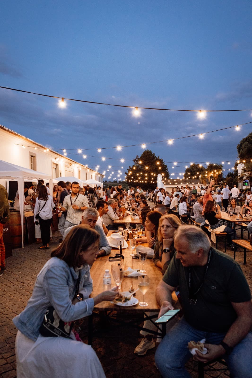João Portugal Ramos wine tourism launches special programme