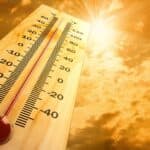 High temperatures return with avengeance: increases of up to 12ºC from Wednesday