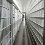 Tax office chief suspended in illegal immigration investigation