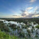 World Wetlands Day marked with guided visit to Algarve’s ‘Mini Doñana’