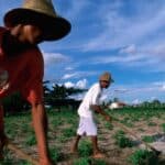 Trial begins in Beja of 22 people, 13 companies charged with exploiting immigrants