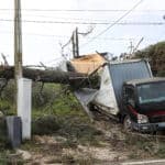 Farmers urged to declare storm damage