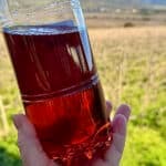 Have you heard of Portugal’s forbidden wine?
