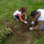 Renature Monchique eyes 600,000 trees milestone