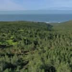 Cascais municipality takes out €30 million loan to stymie property speculation