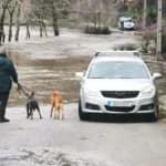 “Imminent threat of flooding” sees GNR rescue 25 dogs in Gondomar