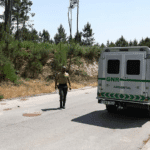 GNR rescue over 100 exotic animals from ‘mistreatment’ in Penafiel