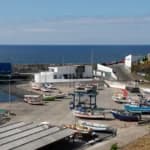 Outrage as mob in Azores beats shark to death