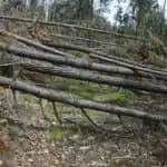 Portugal’s new fire prevention structure to be presented in Leiria today