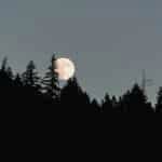 The May 2026 Night Sky