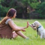 Pet parenting – global trends