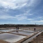 Explore Tavira’s iconic salt pans