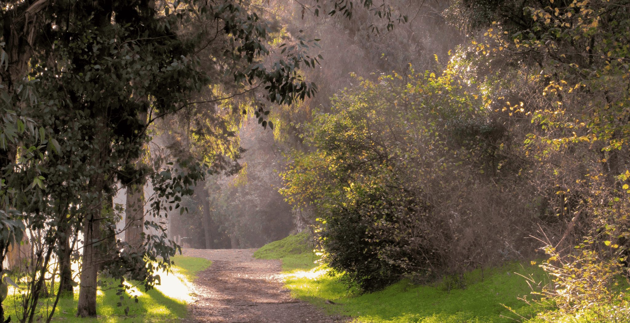 Beyond the trails: Explore Lisbon’s secret corners of Monsanto